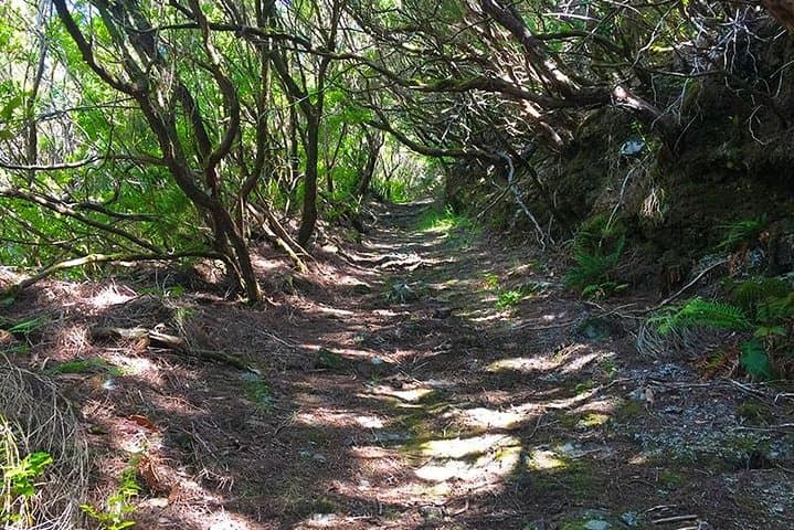 Levada Walk to Lagoa do Vento — Rabaçal Lagoon Hike & Viewpoints photo 2