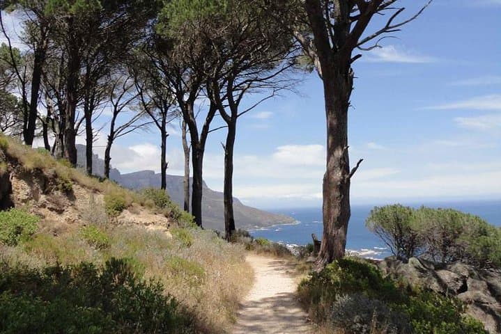 Pipe Track Family Hike on Table Mountain — Easy Coastal Walk with Ocean Views