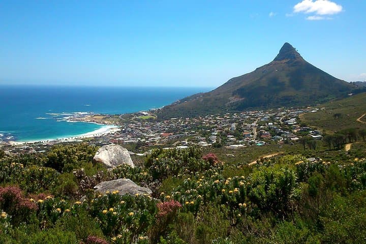 Pipe Track Family Hike on Table Mountain — Easy Coastal Walk with Ocean Views photo 2