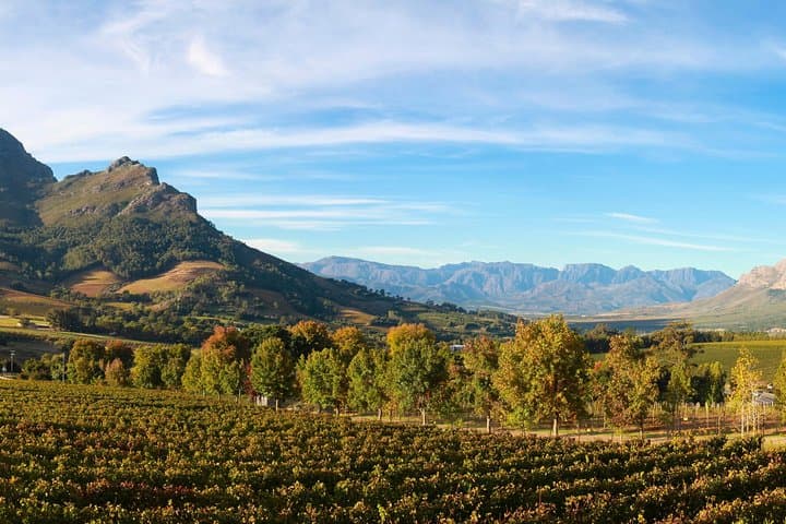 E‑Bike Wine Route: Half‑Day Stellenbosch Winelands Tour from Cape Town photo 2