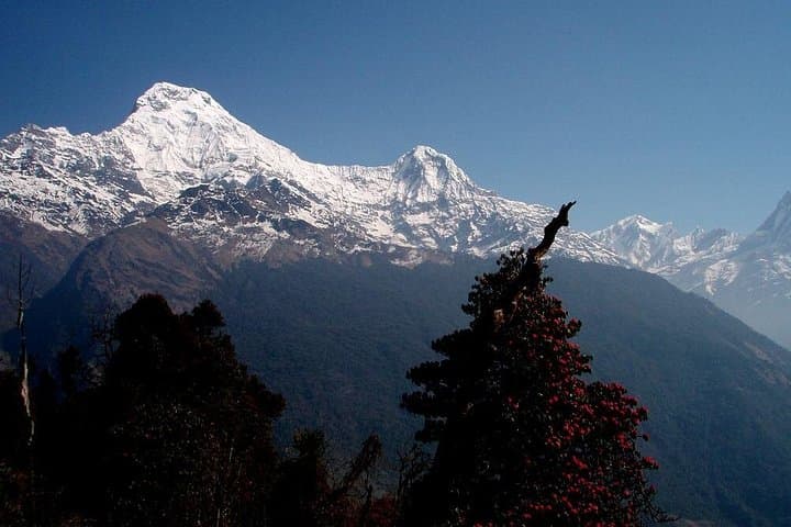 Ghorepani Poon Hill Trek: Annapurna Short Trek from Pokhara photo 2