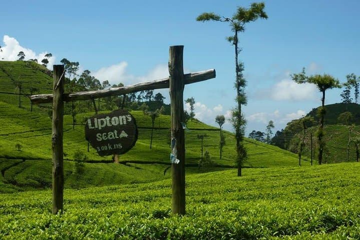 Lipton's Seat & Dambetenna Tea Factory Day Trip from Ella photo 2