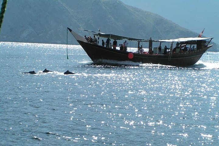Dolphin Watching Cruise from Muscat – Half-Day Dolphin & Whale Tour
