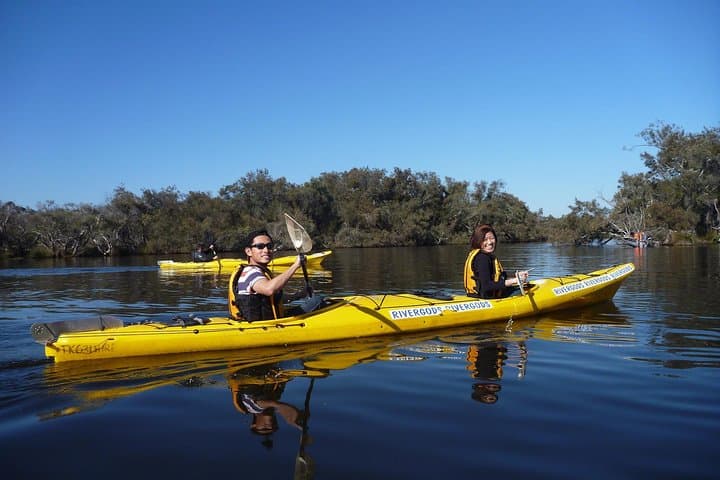Kayak the Canning River: Half-Day Guided Paddle at Kent Street Weir