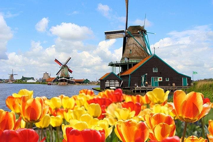 7-Day Taste of Central Europe from Paris: Champagne, Rhine, Amsterdam & Brussels in One Coach Tour
