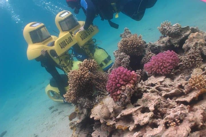 Eilat Aqua Star Intro Dive — Shallow Red Sea Coral Experience photo 6
