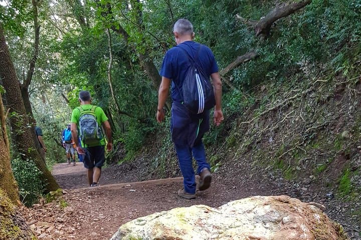 Private Trekking Tour Through Montserrat Natural Park & Monastery photo 5