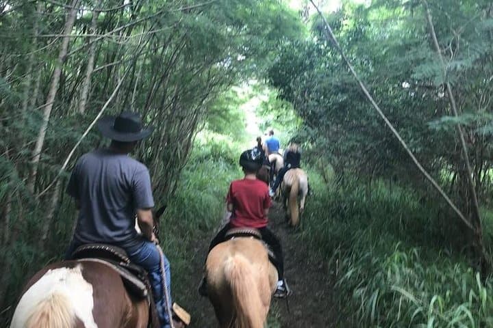 West Maui Horseback Waterfall & Ocean Ride — Mountain to Coast on Horseback photo 5