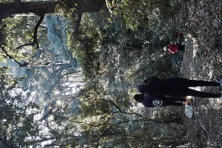 Shivapuri Day Hike: Kathmandu to Bagdwar & Nagi Gompa Panorama photo 6