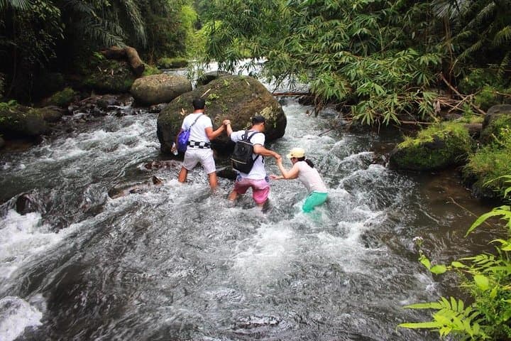 Balinese Nature Trek in Sangeh: Monkey Forest, Rivers & Rice Fields