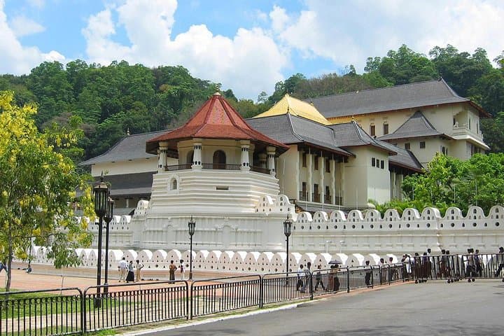 Kandy Private Day Tour from Colombo — Pinnawala Elephants, Tea & Temple photo 5