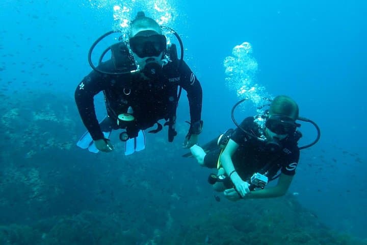 Discover Scuba Diving in Koh Tao: Two Beginner Dives at Japanese Garden & Mango Bay photo 5