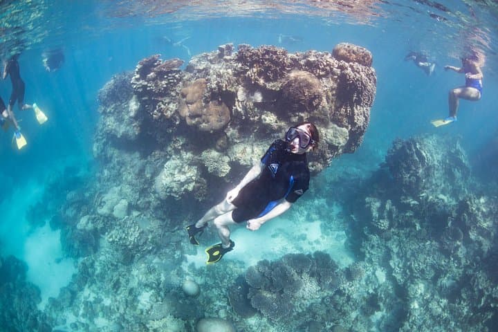 Ningaloo Reef: 2-Hour Coral Viewing and Snorkeling in Coral Bay photo 5
