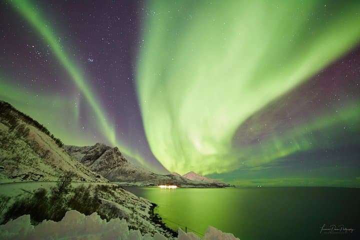 Chase the Northern Lights from Tromsø: Minivan Aurora Photo Excursion