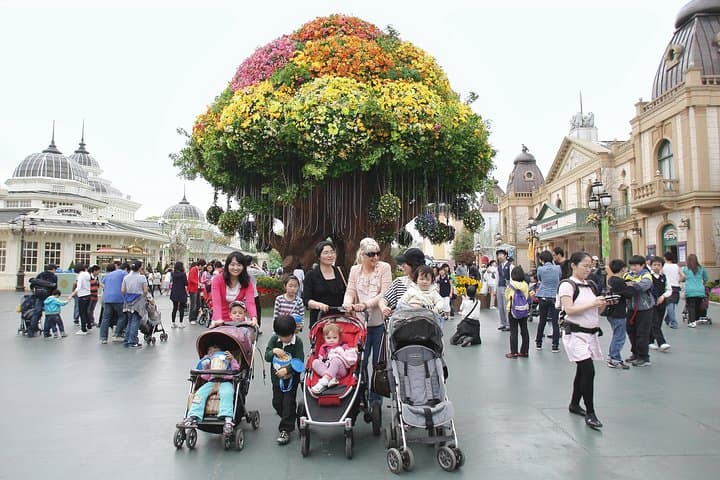Everland Amusement Park: Full-Day Trip from Seoul with Free-Ride Ticket