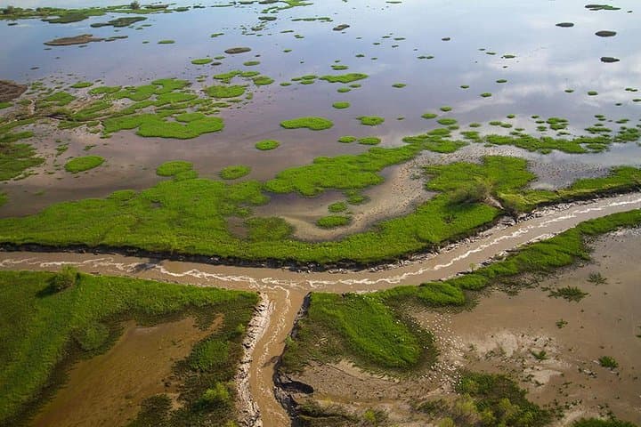 Kakadu & Mary River Scenic Flight from Darwin — Wetlands, Escarpments & Arnhem Land Aerial Tour photo 3