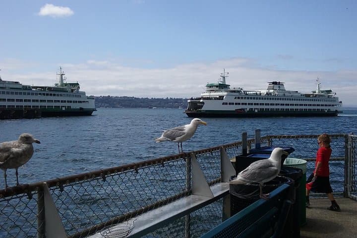 Private Seattle Highlights Tour — Space Needle, Pike Place & Ballard Locks (4 Hours)