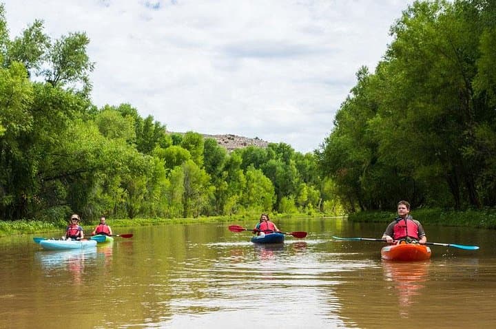 Paddling Spike's River: Kayak the Nerul Mangroves in Goa