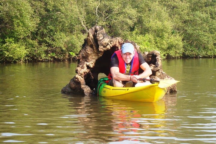 Paddling Spike's River: Kayak the Nerul Mangroves in Goa photo 2