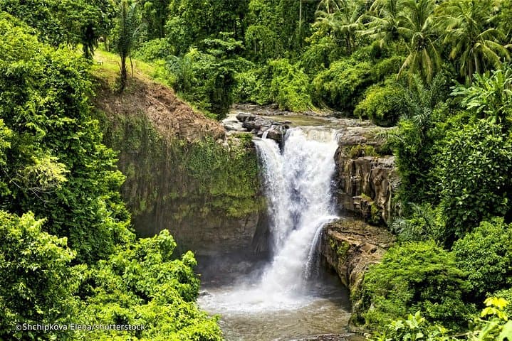Kintamani Volcano Downhill Cycling & Tegenungan Waterfall Day Trip photo 5