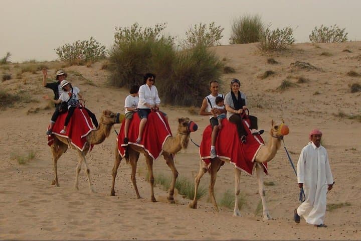 Evening Desert Safari in Abu Dhabi: Dune Bashing, Sandboarding & BBQ photo 5