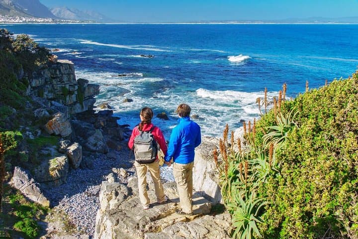 Hermanus Whale Watching Day Trip from Cape Town with Wine Tasting photo 4