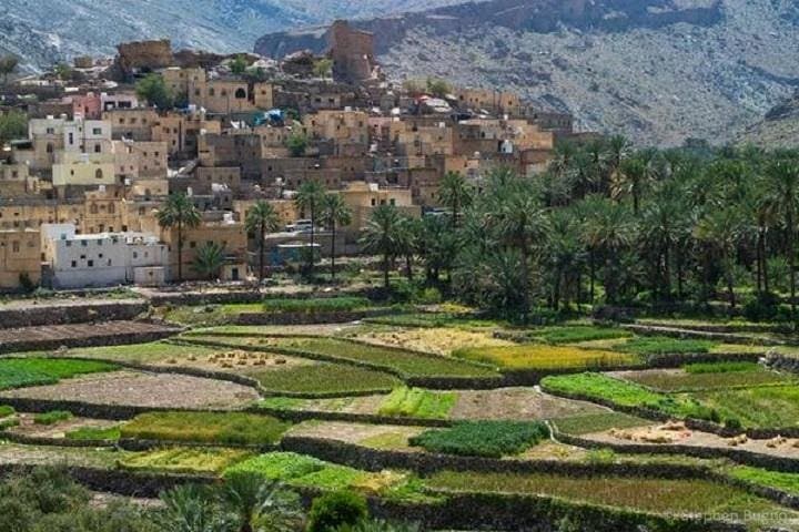 Bilad Sayt 4WD Day Trip from Muscat — Wadi Bani Awf, Terraced Gardens & Nakhl Return photo 2