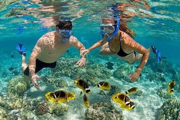 Punta Cana Platinum Catamaran Snorkel & Natural Pool Party photo 5