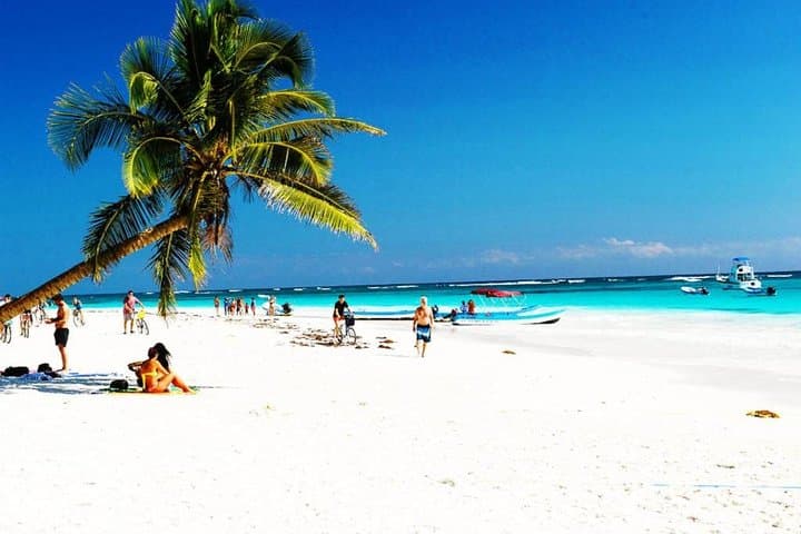 Tulum & Akumal Bay VIP: Snorkel Turtles, Explore Cenotes and Tulum Ruins photo 5