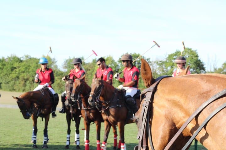 Ride and Swing: Polo Lessons at Ranelagh Farm Polo Club, Windsor photo 2