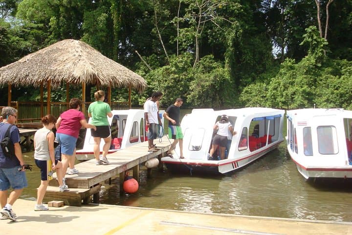 Sarapiquí River Safari & Tirimbina Rainforest Day Trip from San José