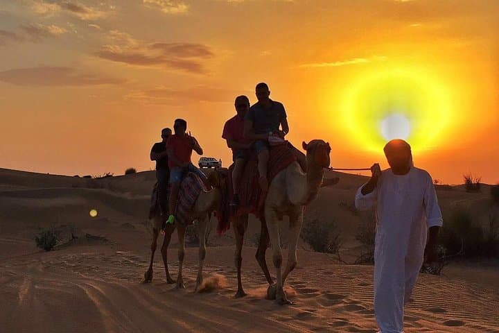 Dubai Desert Camel Caravan & BBQ Dinner Experience photo 5