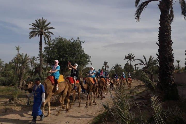 Sunset Camel Ride in Marrakech's Palmeraie — 30-Min Oasis Tour