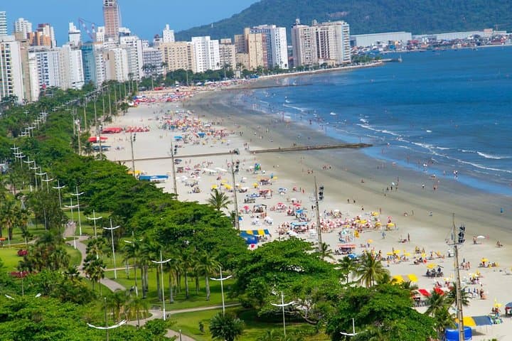 Private Santos Day Trip from São Paulo: Coffee, Coast & Football History
