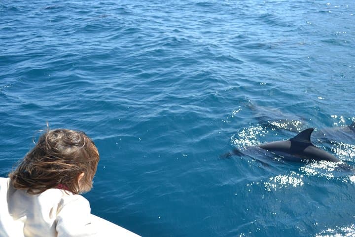 2-Hour Dolphin Swimming Excursion in Tamarin Bay, Mauritius photo 3