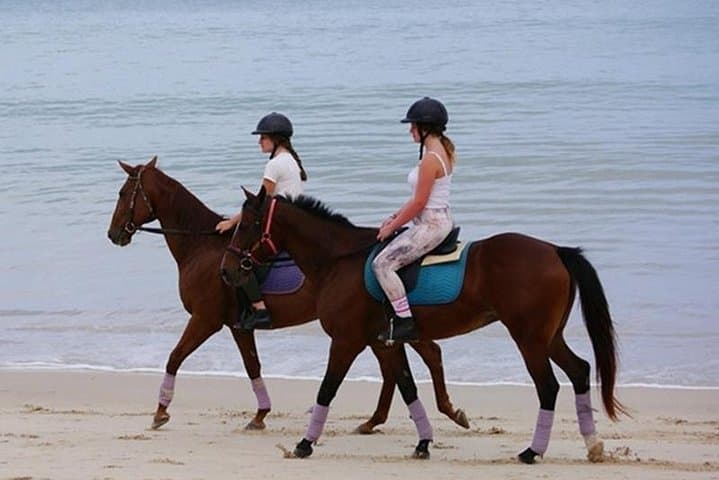 Krabi Beach Horse Riding: Ao Nam Mao 1-Hour Horseback Tour with Transfers photo 2