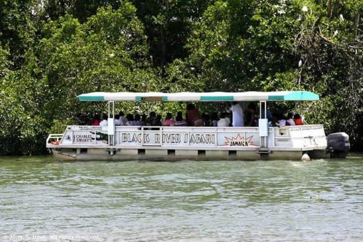 Private Appleton Estate, YS Falls & Black River Safari from Montego Bay photo 4
