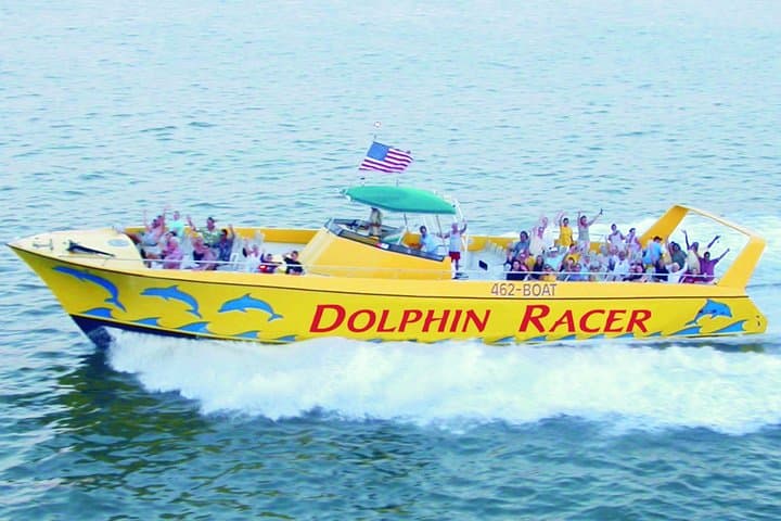 Speedboat Dolphin-Watching Cruise from St. Pete Beach (90–120 min)