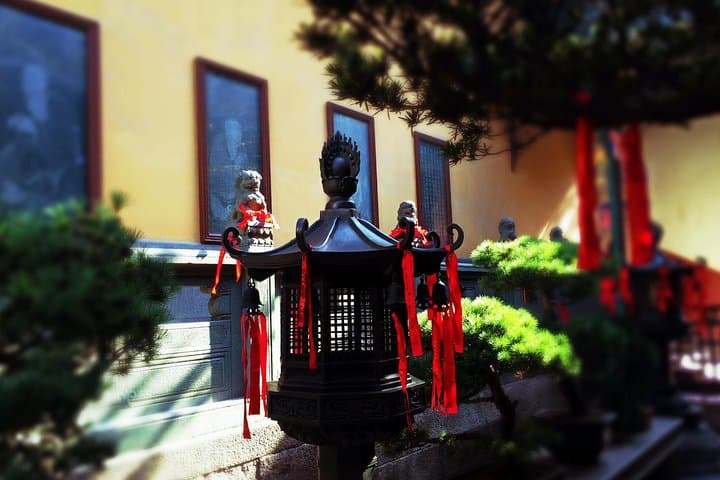 Shanghai Layover Guide: Private City Highlights and Hot Spring Recharge photo 2