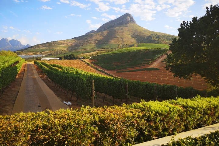 Private Cape Winelands Full‑Day Guided Wine Tour from Cape Town photo 2