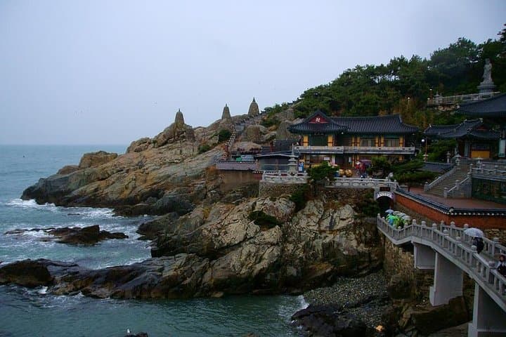 Busan Private Walking Tour: Explore Busan Like a Local with a Lokafyer
