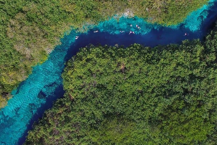 Discover Scuba Diving at Casa Cenote — Intro Dives from Riviera Maya photo 3