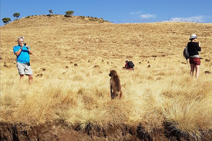Debre Libanos Monastery & Jemma River Gorge Day Tour from Addis Ababa photo 5