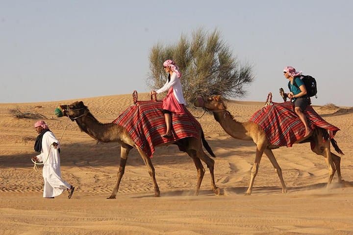 Dubai Desert Safari: 6-Hour Dune Bashing, Camel Ride & Dinner Experience