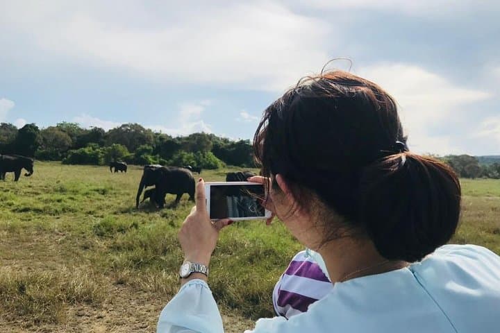Minneriya Safari: Watching Sri Lanka's Elephant Gathering photo 3