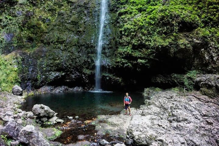 Caldeirão Verde Hike: Madeira’s Green Cauldron Walk from Queimadas photo 4