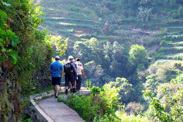 Vale das Mimosas Levada Walk: Machico's Easy 6.5 km Valley Trail photo 5