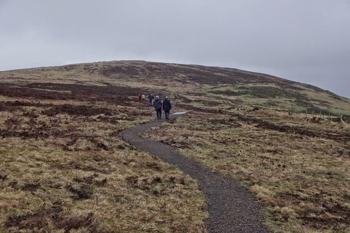 Divis & Black Mountain Guided Trek: Belfast Hilltop Views and Wildlife photo 3