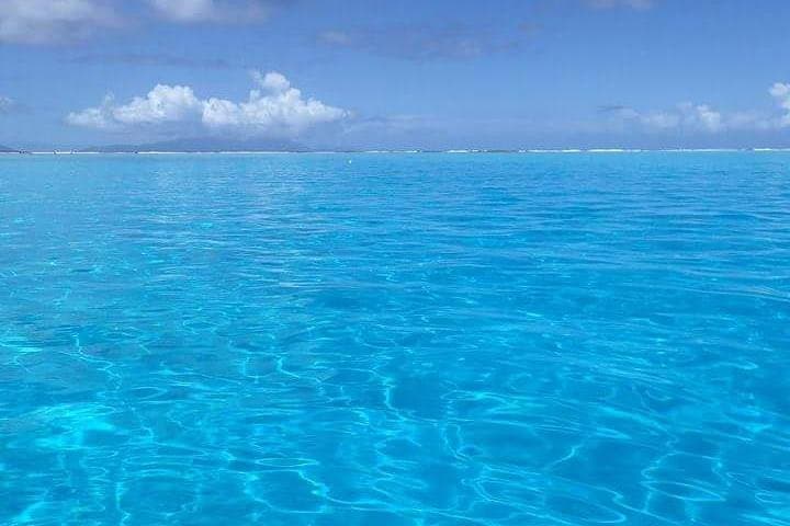 Bora Bora Combo Dive & Snorkel: Half-Day Lagoon Adventure photo 2