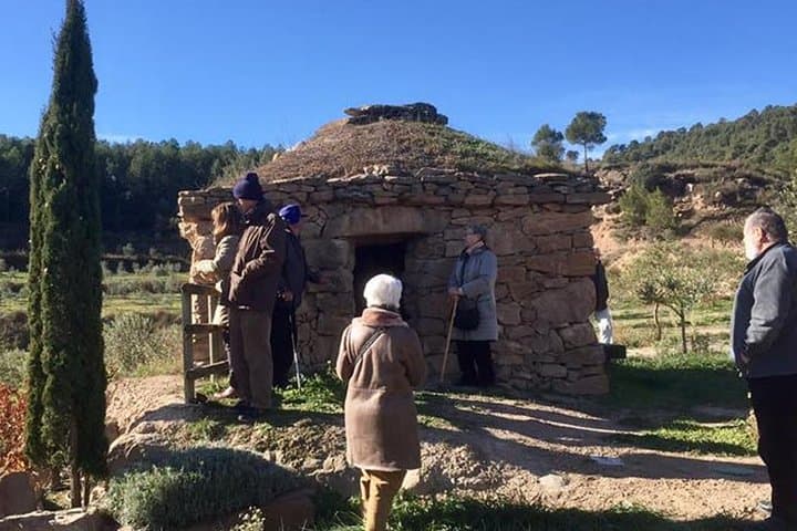Vall d’Hortons Olive Oil Tasting — Private Tour from Barcelona photo 5